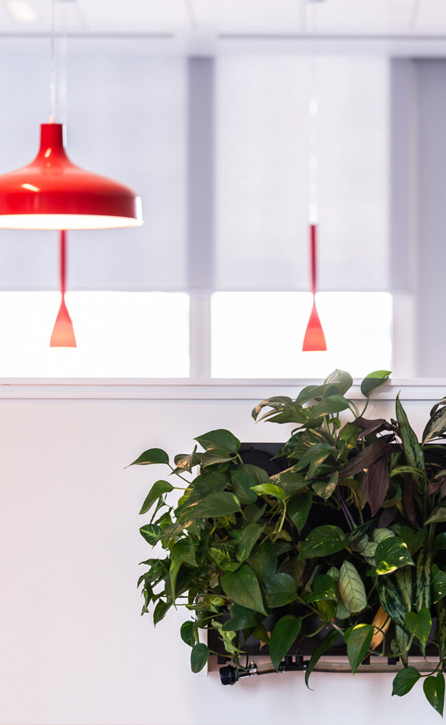 creative, digital and marketing