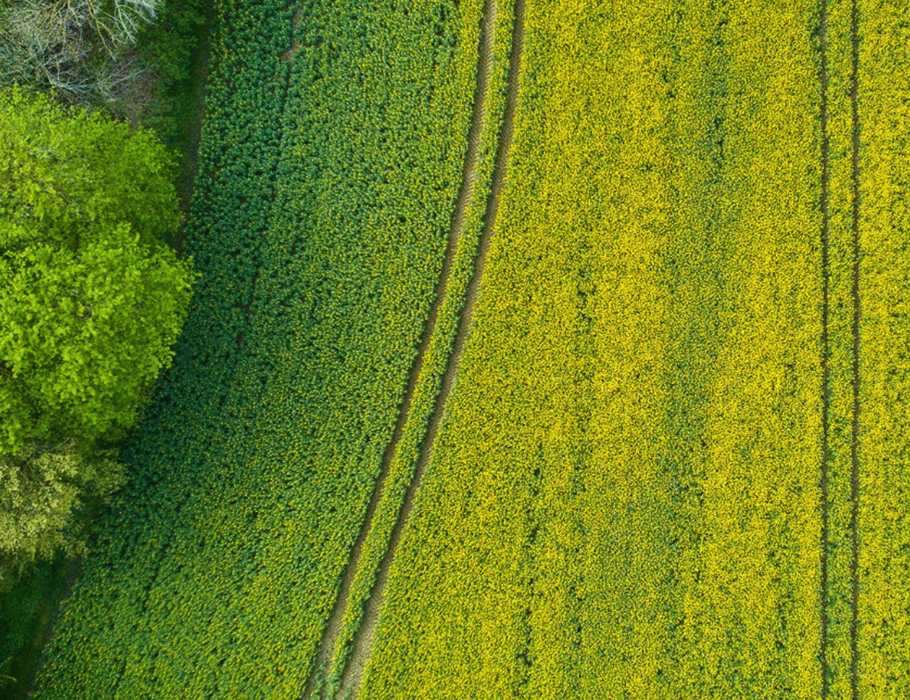 Dealing with unregistered land