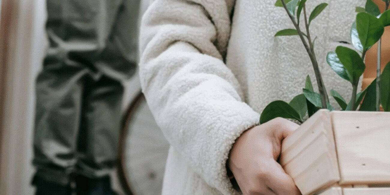 Renters' Rights Bill