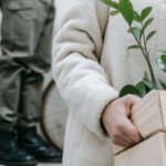 Renters' Rights Bill